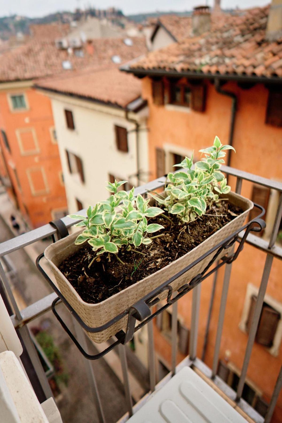 Vista Apartments Verona Kültér fotó